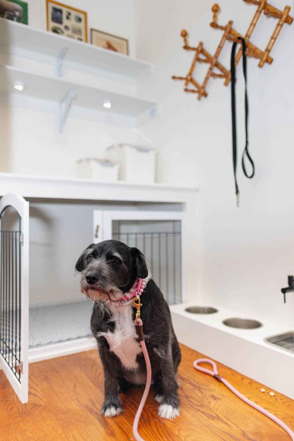 Dog nook built by Bethesda contracting